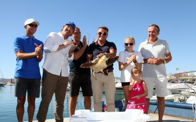 El Club Náutico de Jávea y el Oceanogàfic devuelven la tortuga Chiquiti al mar Mediterráneo