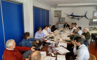 La CEACNA preocupada por los clubes que no han renovados sus concesiones