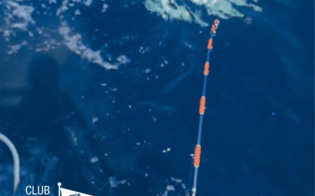 Inscripciones abiertas para el XXI Campeonato Local de Currycostero