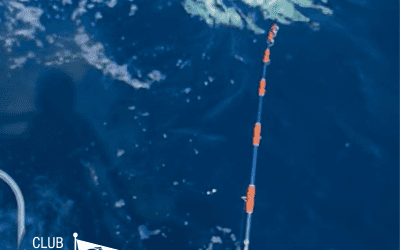 Inscripciones abiertas para el XXI Campeonato Local de Currycostero