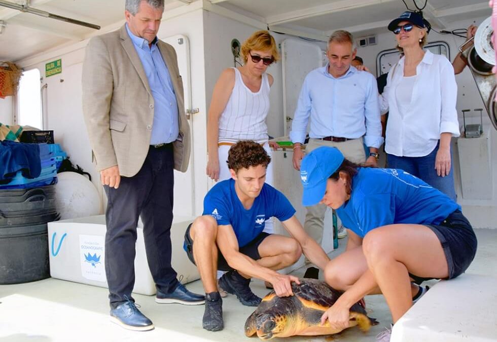 Colaboramos en una jornada de liberación de especies marinas en Xàbia