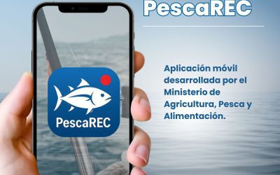 Información importante para pescadores: nuevas obligaciones, normativas y reglamento tanto para embarcaciones, como para la pesca desde tierra y la pesca submarina